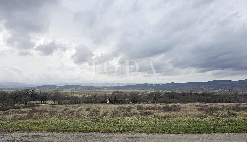 Image 6335497 - 2