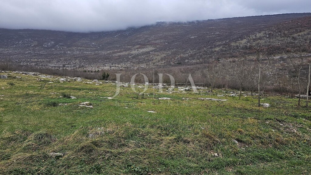 Image 6335497 - 3