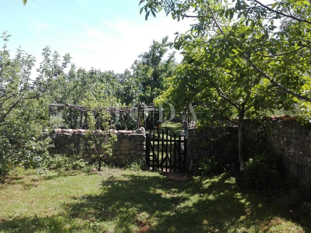 Image 6335508 - 4