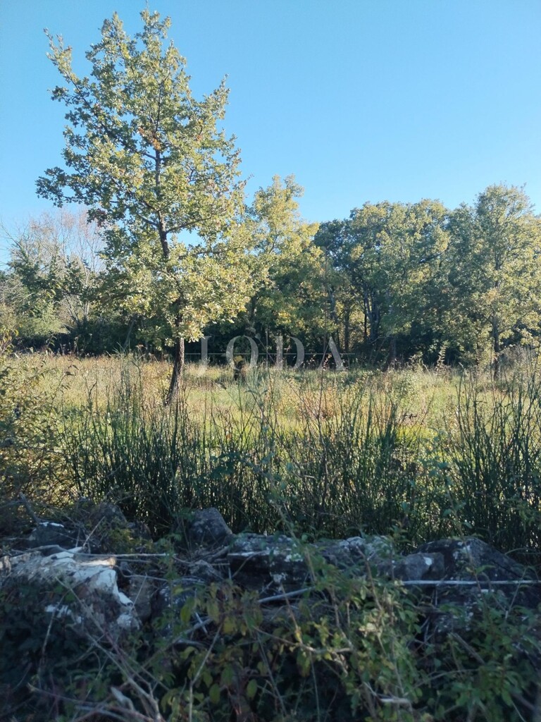 Image 6335513 - 7