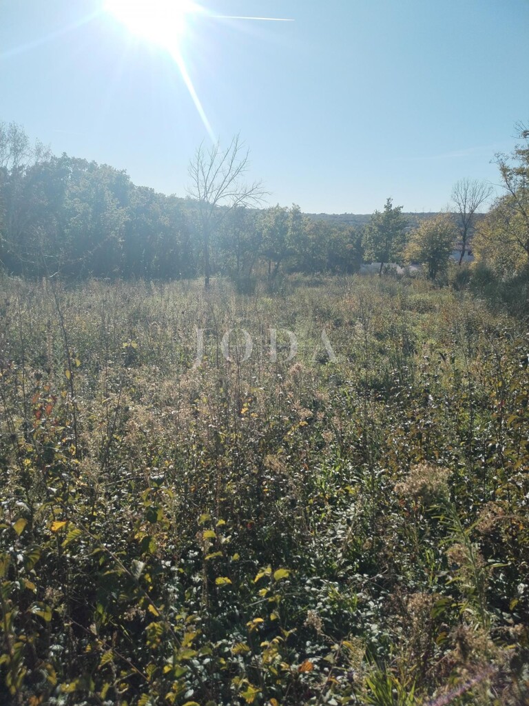 Image 6335513 - 4