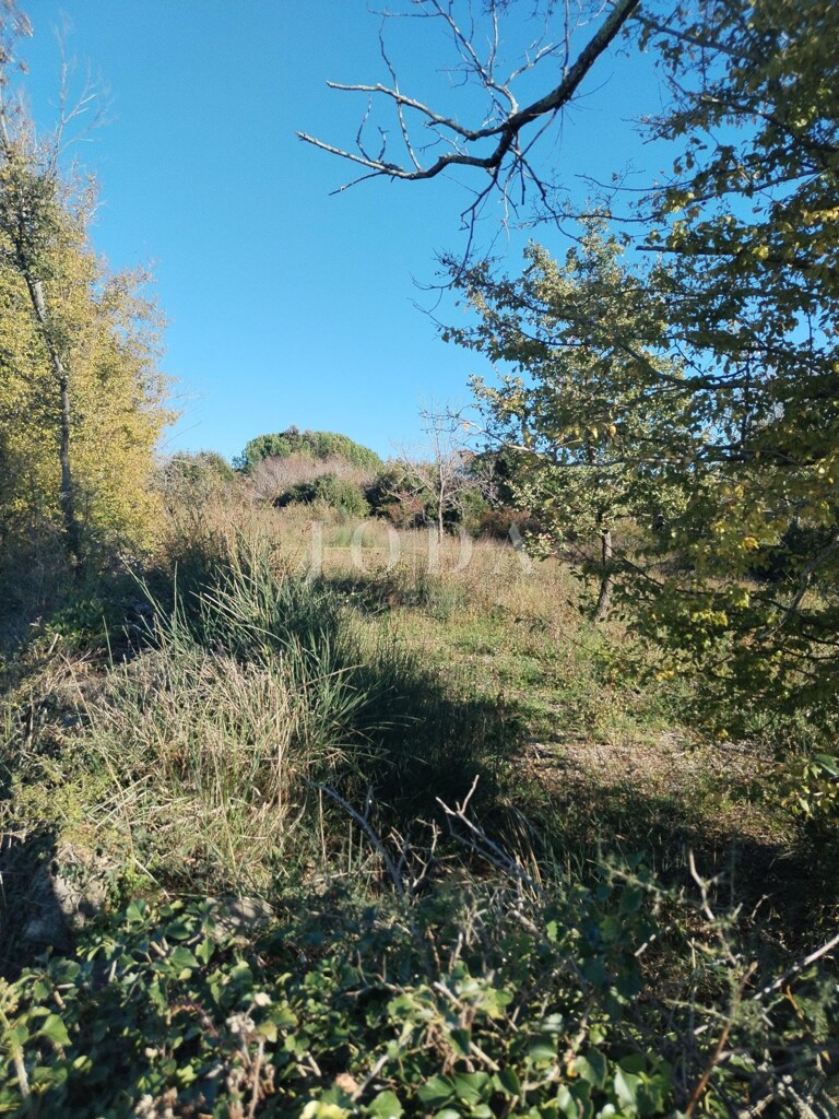 Image 6335513 - 8