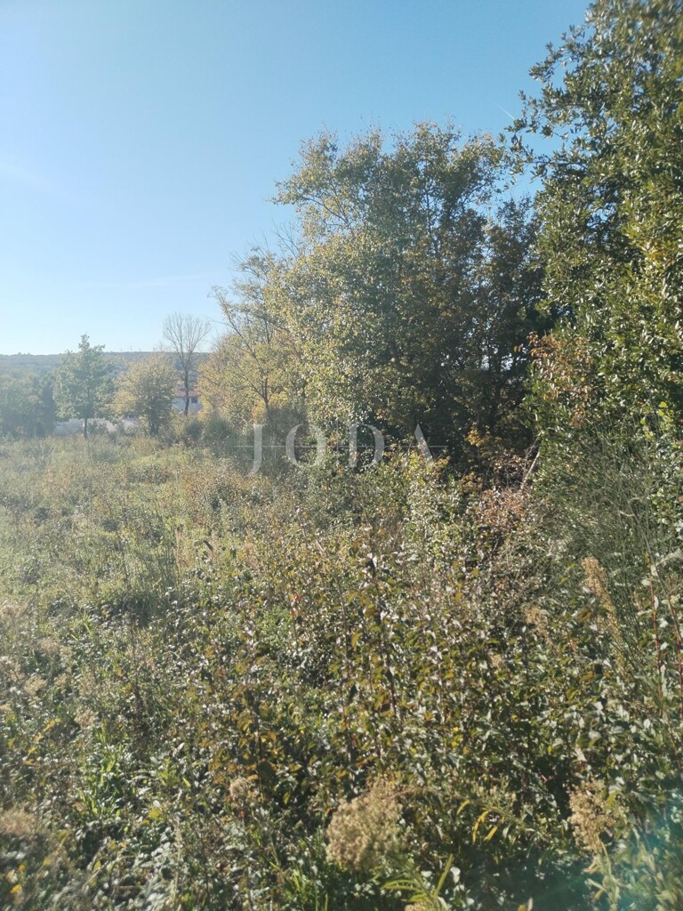 Image 6335513 - 1
