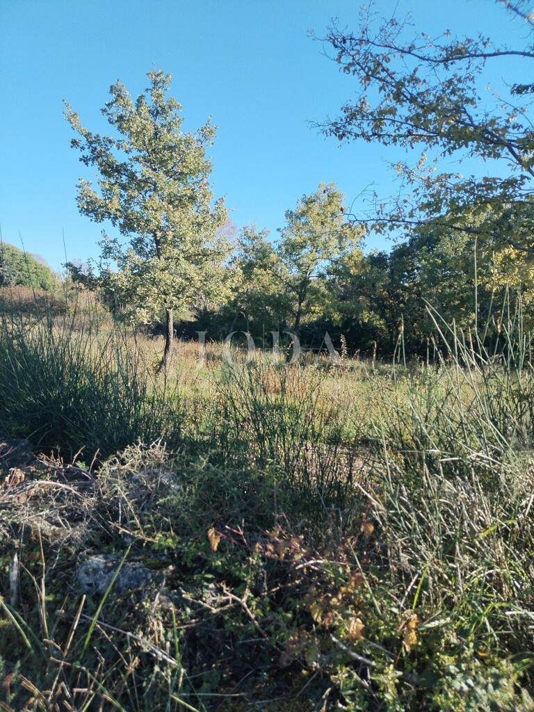 Image 6335513 - 5