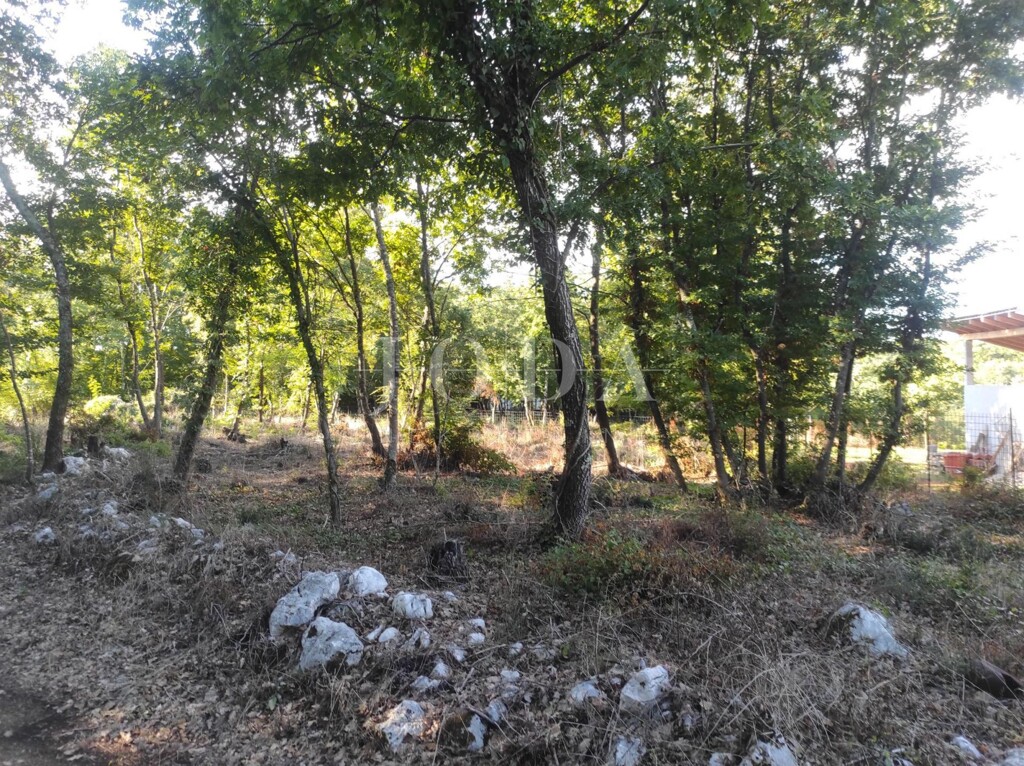 Image 6335518 - 8
