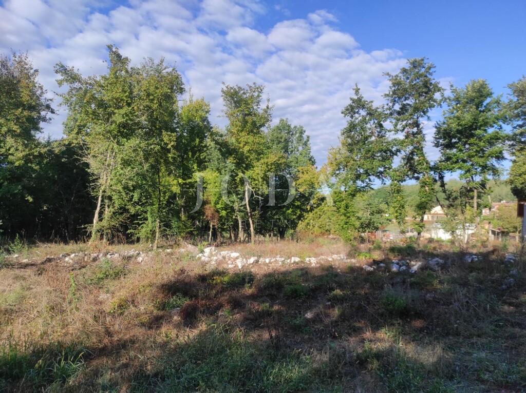 Image 6335518 - 9