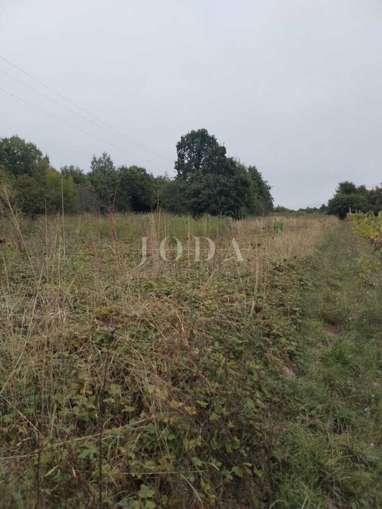 Image 6335532 - 1