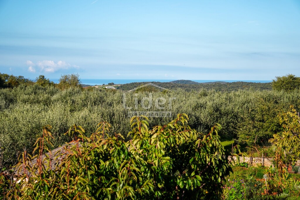 Image 6335558 - 8