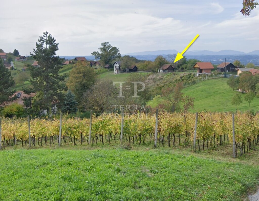 Image 6335564 - 6