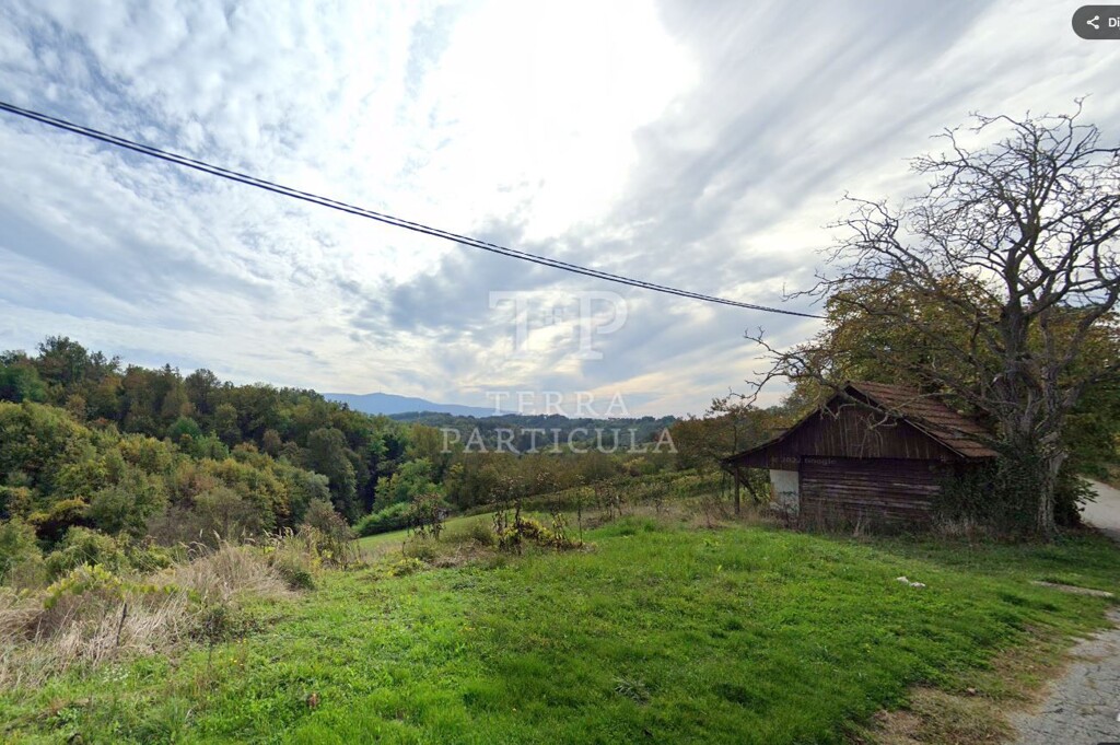 Image 6335564 - 1