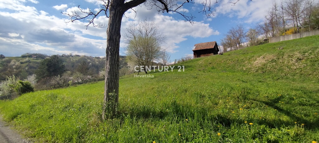 Image 6335615 - 1