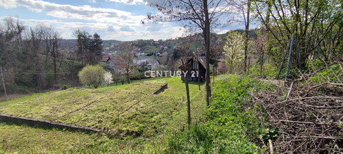 Thumbnail 6335615 - 5