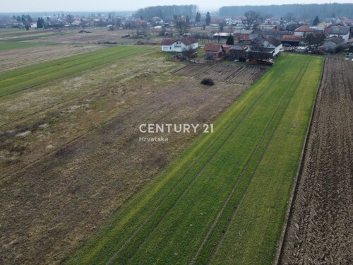 Thumbnail 6335618 - 5