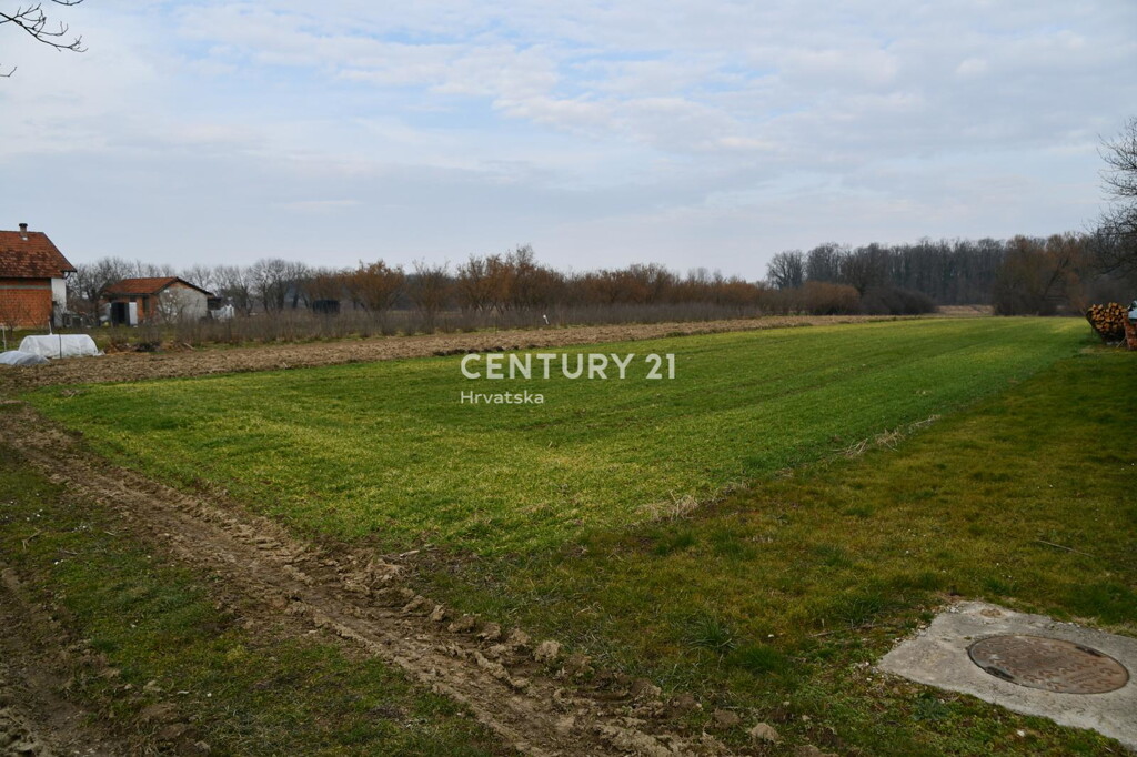 Image 6335619 - 5