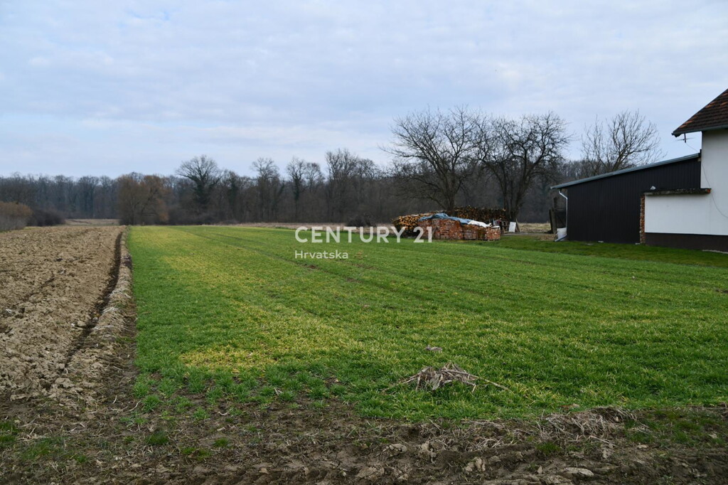 Image 6335619 - 4