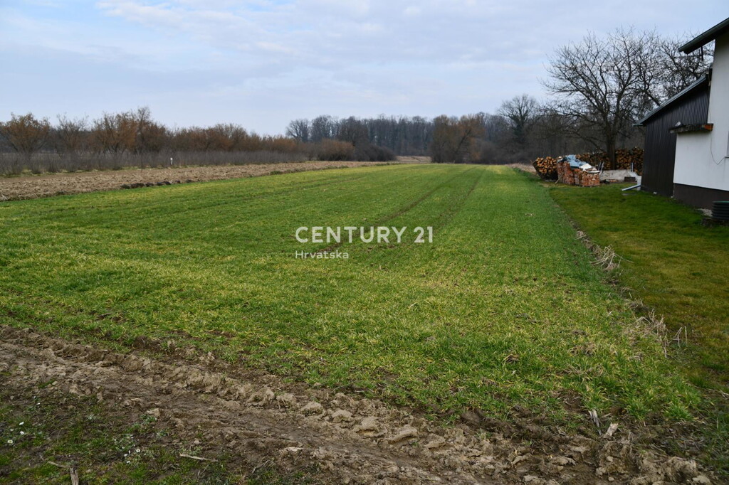 Image 6335620 - 6