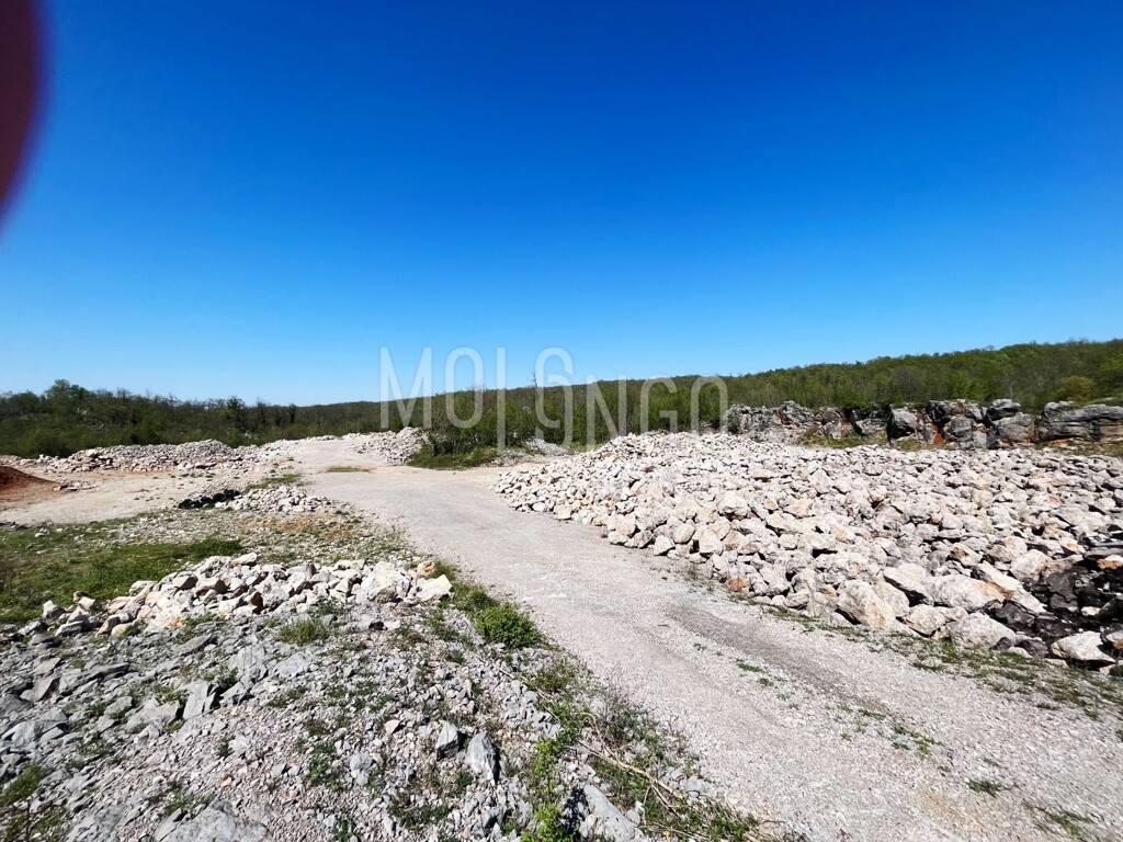 Image 6335742 - 2