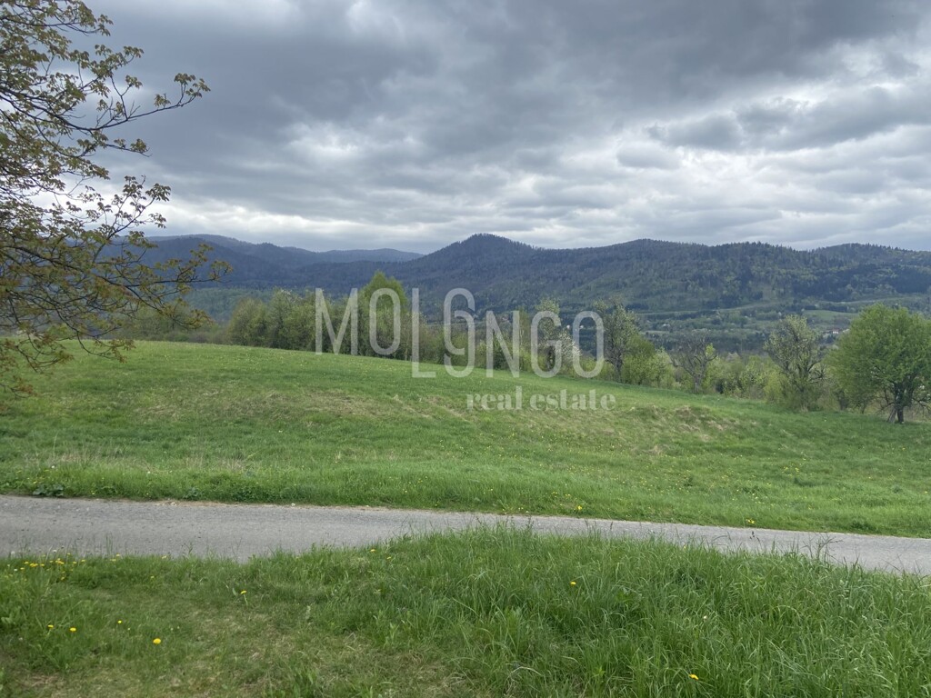 Image 6335747 - 11