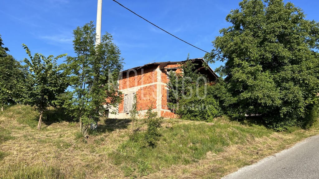 Image 6335747 - 5