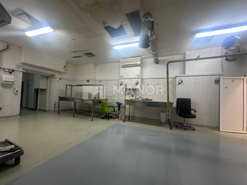 Image 6335762 - 10