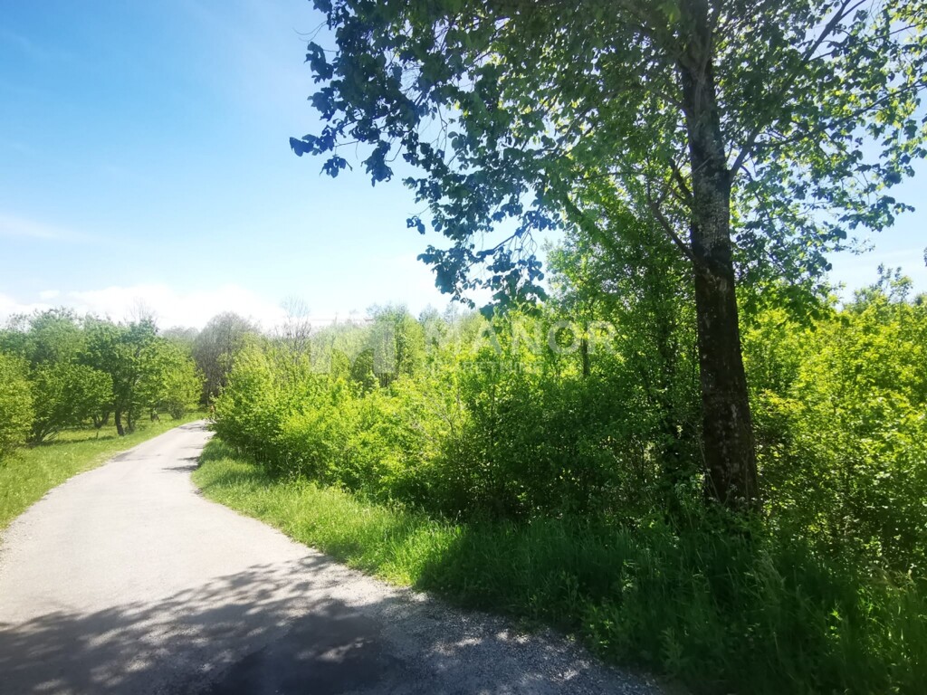 Image 6335763 - 7