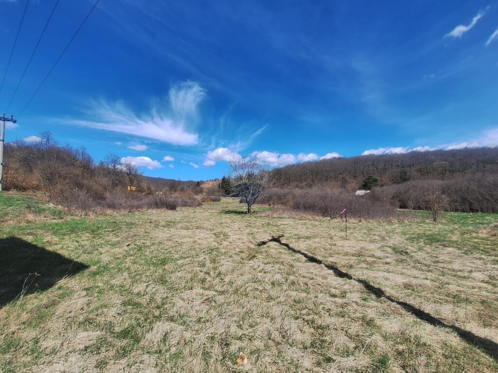 Image 6335792 - 14