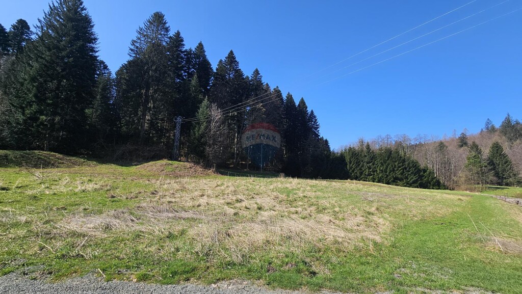 Image 6335793 - 1