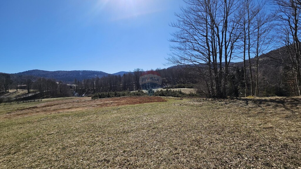 Image 6335799 - 2