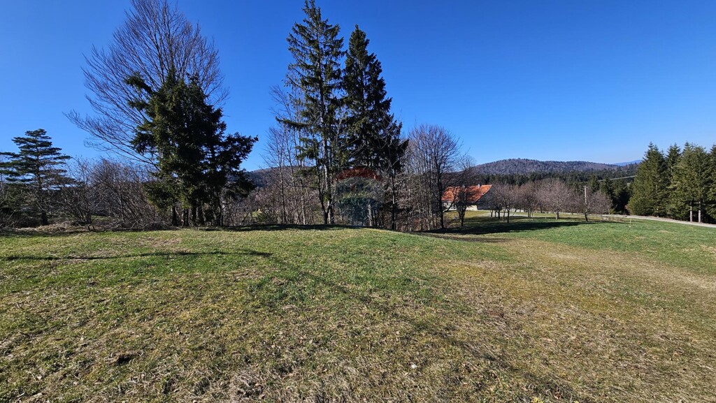Image 6335800 - 1