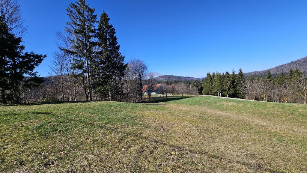 Image 6335800 - 2