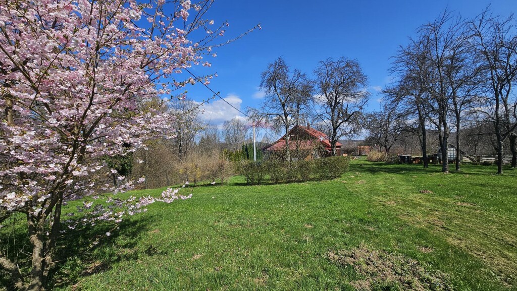 Image 6335802 - 17