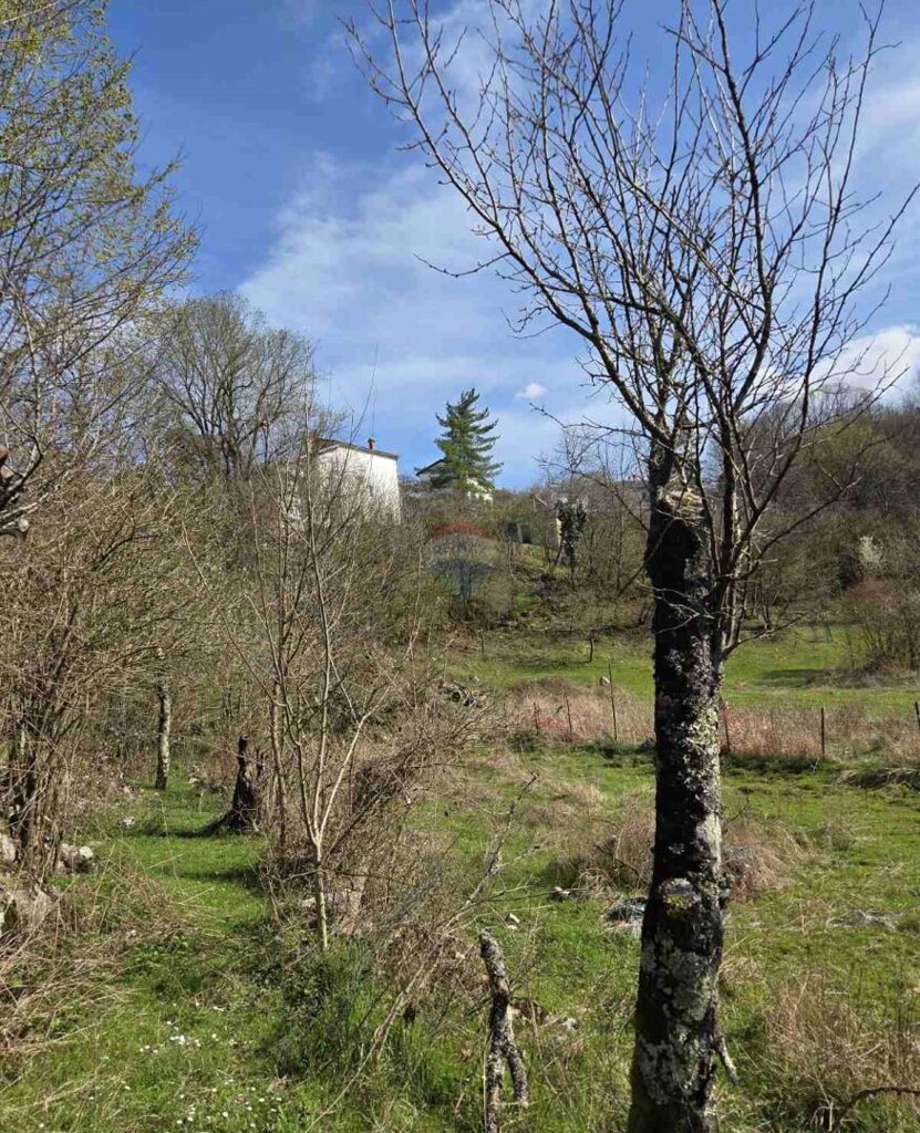 Image 6335803 - 5