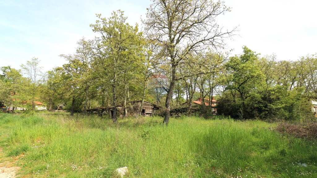 Image 6335807 - 2