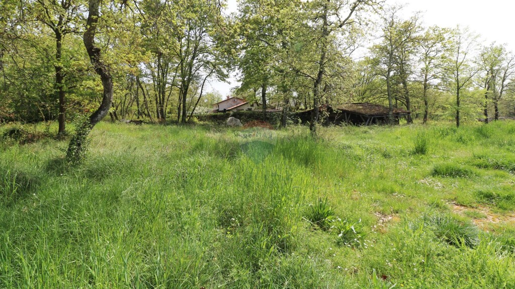 Image 6335807 - 4