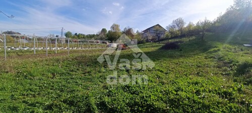 Thumbnail 6335809 - 5