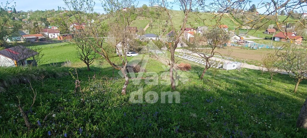 Image 6335809 - 2
