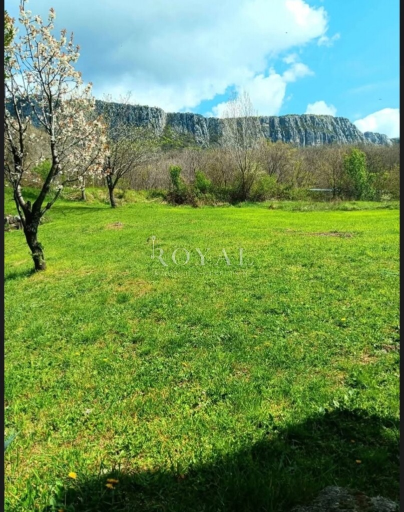 Image 6336029 - 3