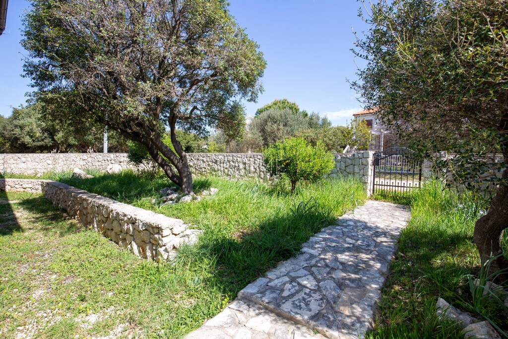 Image 6336037 - 11