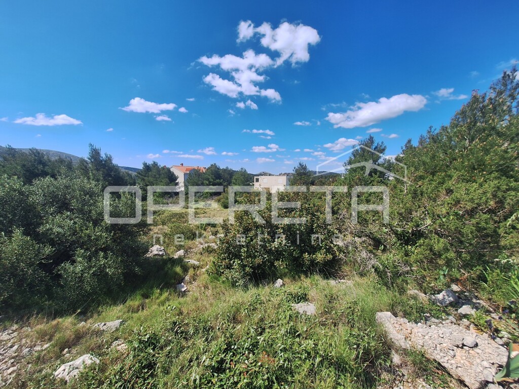 Image 6336039 - 8