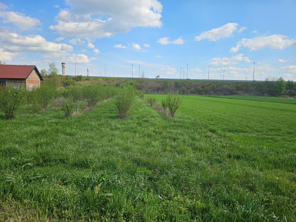 Image 6336040 - 1