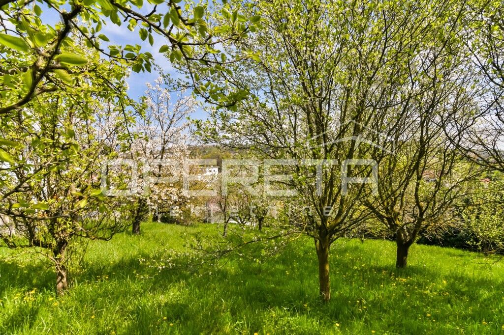 Image 6336045 - 57