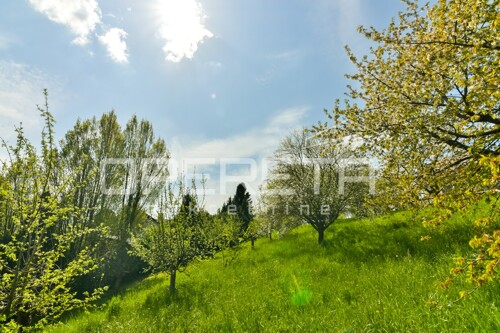 Thumbnail 6336045 - 49