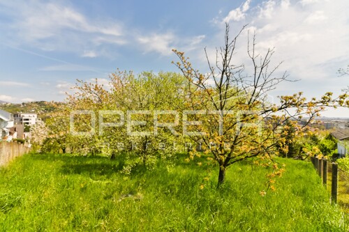 Thumbnail 6336045 - 50