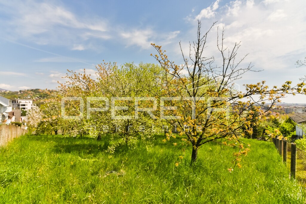 Image 6336045 - 50
