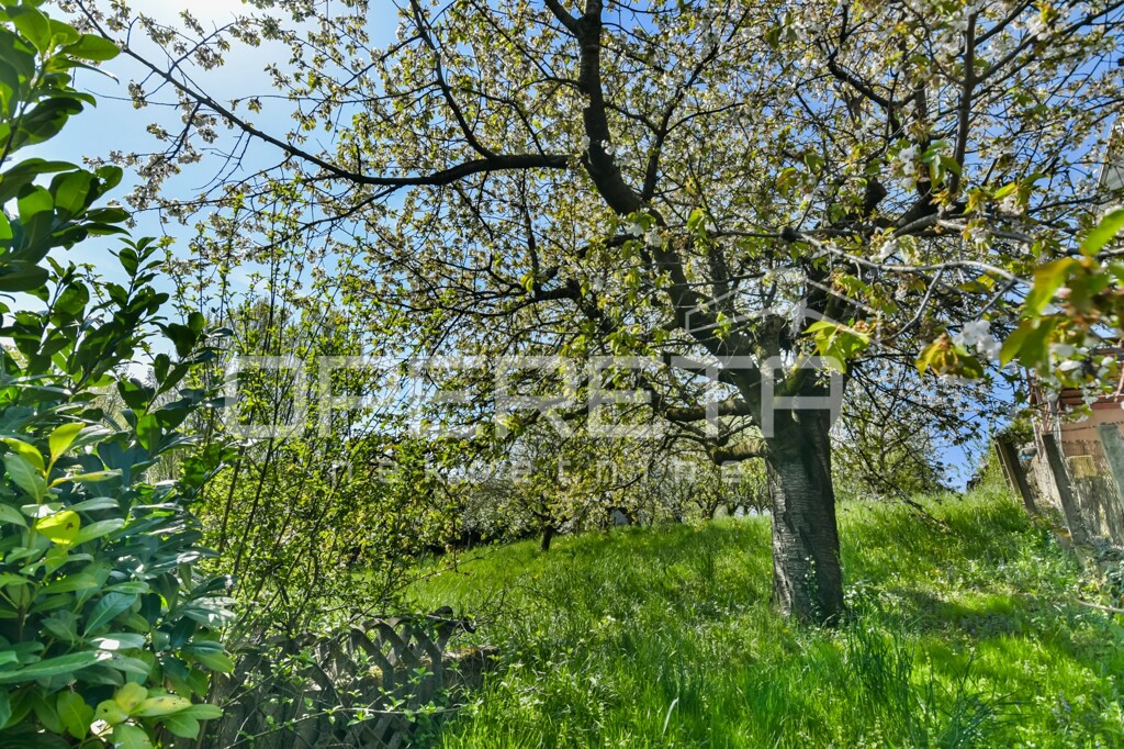 Image 6336045 - 56