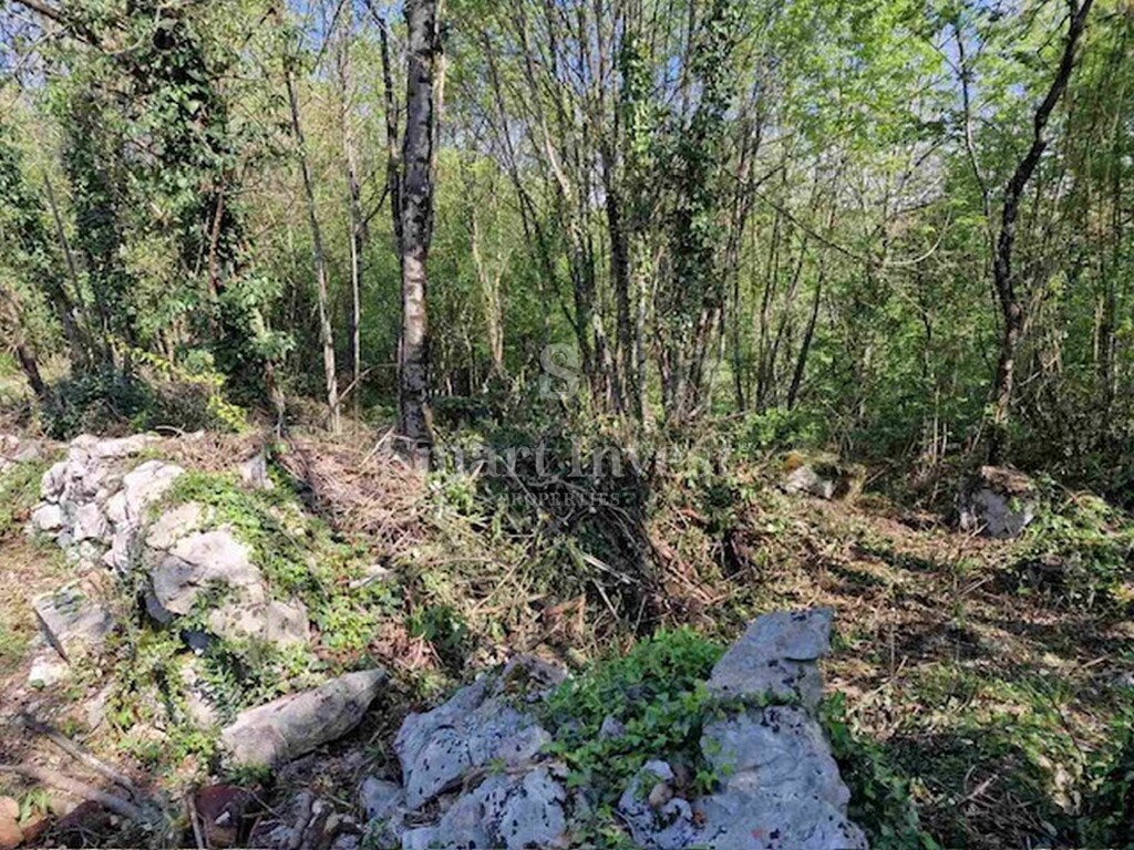 Image 6336055 - 4