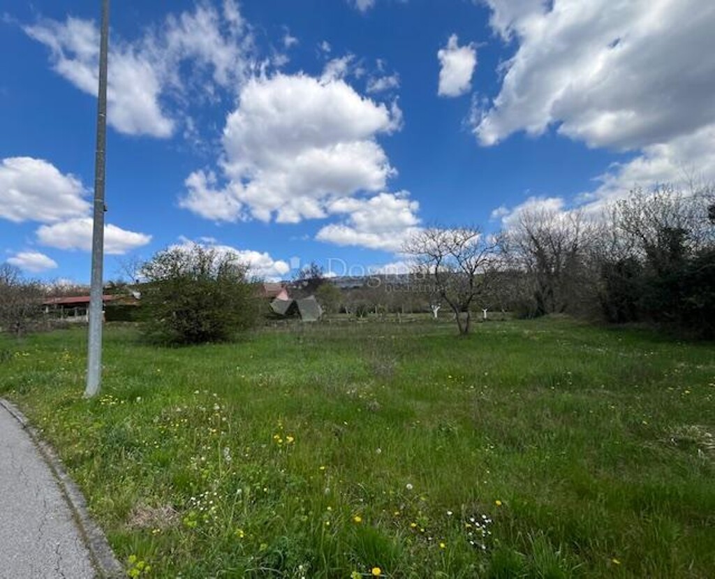 Image 6336201 - 1