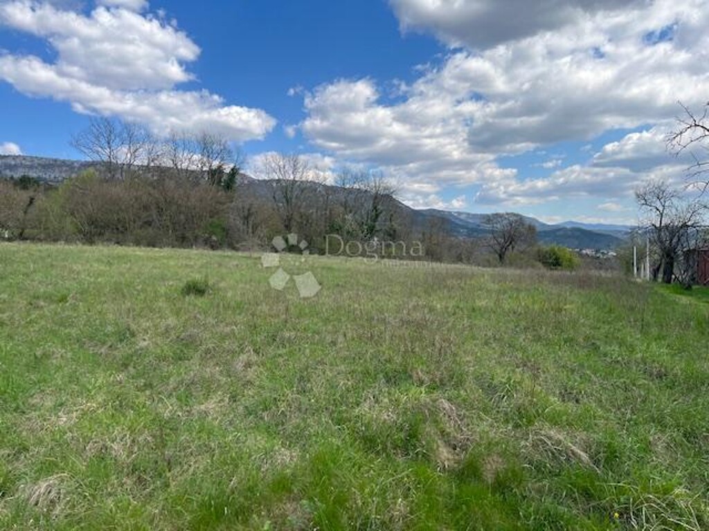 Image 6336201 - 3