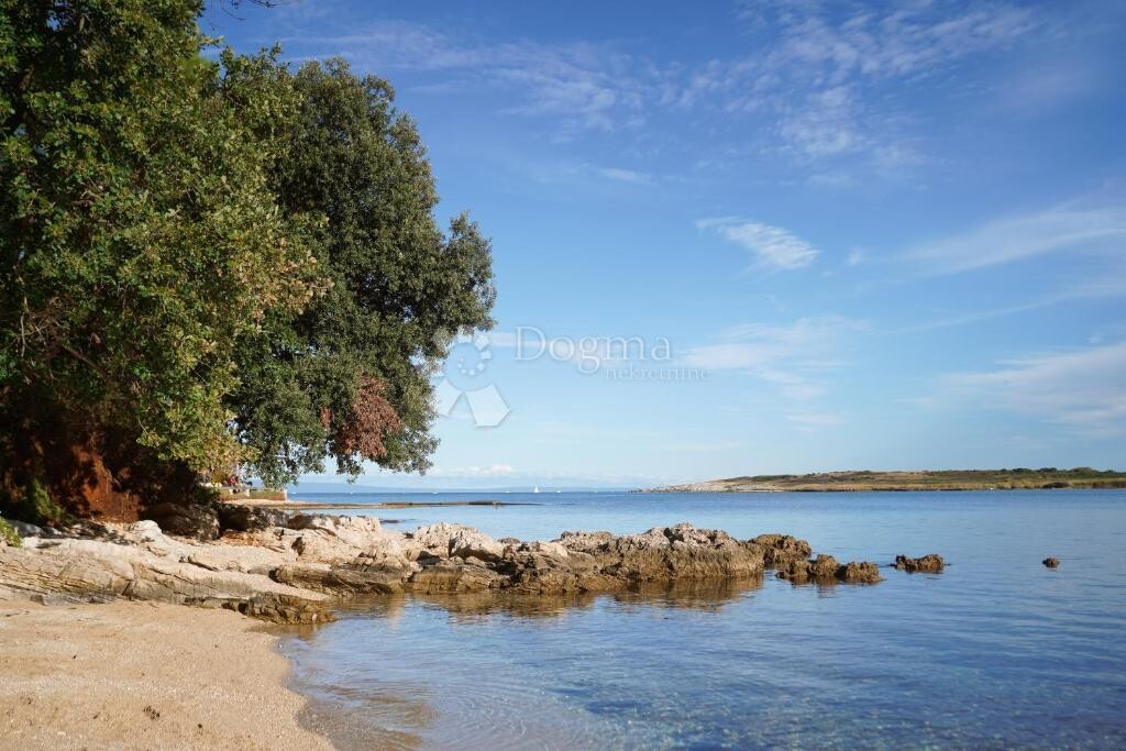 Image 6336209 - 14