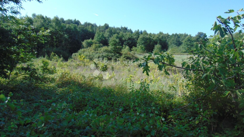 Image 6336236 - 2